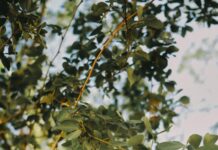 العاصفة: كيف تتعامل مع قسوة الطبيعة وتحمي نفسك؟