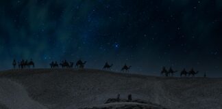 الأهرام ضد الأهلي: من سيفوز في هذه المواجهة المثيرة؟