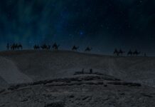 الأهلي ضد الأهرام: من سيفوز في المواجهة المثيرة القادمة؟