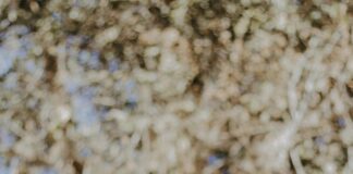 مول مصر: اكتشف أسرار المتعة والتسوق في وجهة فريدة!