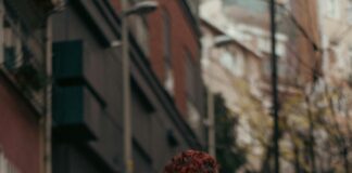 مدينة الشروق: اكتشف أسرار جمالها ومميزات الحياة فيها