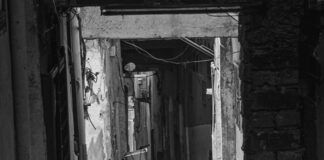 مدينة نصر: اكتشف سحرها وأفضل الأماكن للزيارة فيها