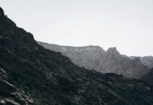 ياسمين عبد العزيز: كيف حققت شهرة ساحقة في عالم الفن؟