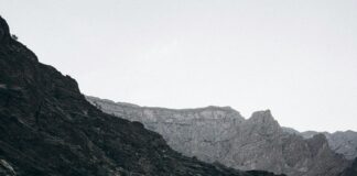 ياسمين عبد العزيز: كيف حققت شهرة ساحقة في عالم الفن؟