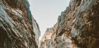 هدير عبد الرازق: كيف تميزت في عالم الفن والإبداع؟