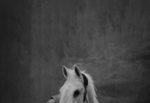 Stud EKB EG: كيف يمكن أن تغير تجربتك في التعلم الإلكتروني؟