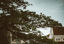 محمد عبد اللطيف: كيف حقق النجاح في عالم الأعمال؟