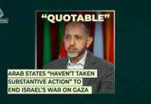 الدول العربية لم تتخذ إجراءات فعالة لإنهاء حرب إسرائيل على غزة
