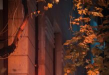 برج القوس: أسرار مذهلة ونصائح لاكتشاف شخصيتك الفريدة