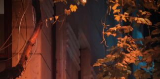 برج القوس: أسرار مذهلة ونصائح لاكتشاف شخصيتك الفريدة