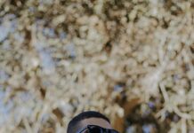 حدائق الأهرام: اكتشف أجمل الأماكن الطبيعية الساحرة في مصر