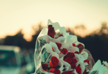 بورصة الدواجن اليوم: كيف تؤثر الأسعار على مشترياتك بذكاء؟