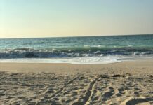 اجازة: كيف تخطط لأفضل تجربة استرخاء وتجديد نشاط؟