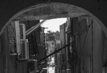 الأهلي ضد اتحاد الجزائر: من سيفوز في المواجهة الحاسمة؟