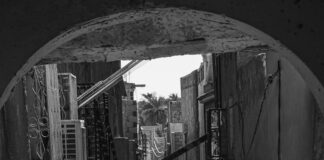 الأهلي ضد اتحاد الجزائر: من سيفوز في المواجهة الحاسمة؟