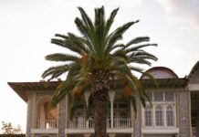 صور بنات حقيقيه مذهلة: اكتشف جمال الطبيعة الحقيقي بأسلوب فريد