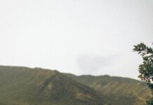 محمد علي بن رمضان: كيف أثر في عالم الأعمال والنجاح الملهم؟