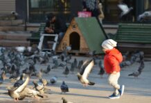 كارفور المعادي سيتي سنتر: اكتشف أفضل العروض والتجارب الفريدة