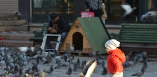 كارفور المعادي سيتي سنتر: اكتشف أفضل العروض والتجارب الفريدة