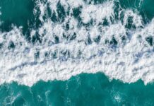 زمالك Vs Al Masry: من سيفوز في المواجهة الحاسمة؟