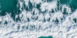 زمالك Vs Al Masry: من سيفوز في المواجهة الحاسمة؟