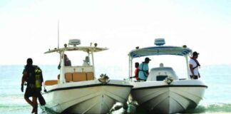 جهود حماية البيئة البحرية تحقق إنجازات ملحوظة في الربع الثاني من عام 2025 2025