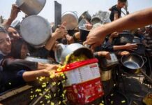 ارتفاع حصيلة وفيات الجوع في غزة إلى 251، بما في ذلك 108 أطفال 251-108