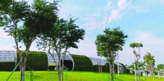 استفد من الحدائق المكيفة للبقاء بصحة جيدة خلال الصيف، وفقاً للوزارة