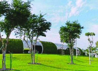 استفد من الحدائق المكيفة للبقاء بصحة جيدة خلال الصيف، وفقاً للوزارة