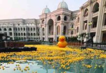 حملة العودة إلى المدرسة للجمعية الخيرية EAA eaa