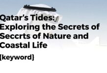 مد وجزر قطر: استكشاف أسرار الطبيعة والحياة الساحلية