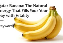 قطر بنانا: الطاقة الطبيعية التي تملأ يومك بالحيوية