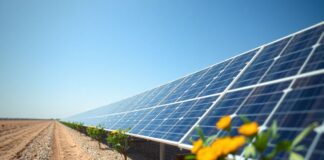 الطاقة الشمسية: المستقبل المشرق للقطر Solar energy: Qatar's bright future