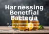 الاستفادة من البكتيريا النافعة: دليل شامل للخمور المنزلية Harnessing Beneficial Bacteria: A Comprehensive Guide to Home Brewing