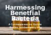 الاستفادة من البكتيريا النافعة: دليل شامل للخمور المنزلية Harnessing Beneficial Bacteria: A Comprehensive Guide to Homebrewing