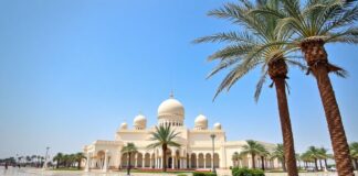 استكشاف قطر: بين التقاليد الحديثة والجمال الطبيعي Exploring Qatar: Between Modern Traditions and Natural Beauty