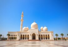 كاشف أسرار قطر: اكتشف جمال البلاد وثرائها الثقافي Qatar Unveiled: Discover the Country's Beauty and Cultural Richness