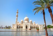 اكتشاف قطر: جولة في الثقافة والتقاليد والجمال الطبيعي Discover Qatar: A Journey Through Culture, Traditions, and Natural Beauty