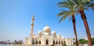 اكتشاف قطر: جولة في الثقافة والتقاليد والجمال الطبيعي Discover Qatar: A Journey Through Culture, Traditions, and Natural Beauty