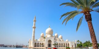 اكتشاف قطر: جولة في الثقافة والتقاليد والجمال الطبيعي Discover Qatar: A Journey Through Culture, Traditions, and Natural Beauty