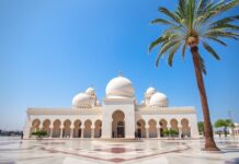 استكشاف قطر: دليل شامل للزوار Exploring Qatar: A Comprehensive Guide for Visitors