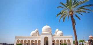استكشاف قطر: دليل شامل للزوار Exploring Qatar: A Comprehensive Guide for Visitors